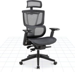FLEXISPOT ergonomischer Bürostuhl mit Lendenstütze und 4D-Armlehnen