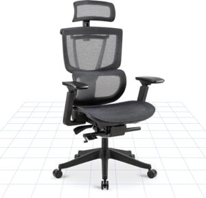 FLEXISPOT ergonomischer Bürostuhl mit Lendenstütze und 4D-Armlehnen