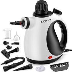 KOITAT Dampfreiniger mit Zubehörteilen