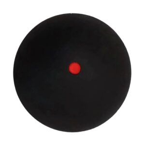 213oEWAUYfL._SL500_
