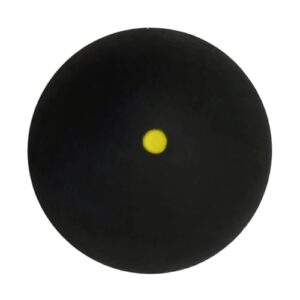 21Ldax1jxL._SL500_