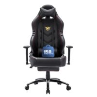 31AGooPliUL._SL500_