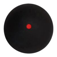 31MpD8UN3L._SL500_