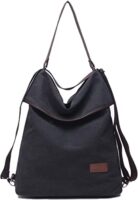 31PqgdipurL._SL500_