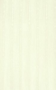 31SialyLkGL._SL500_