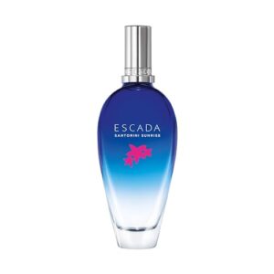 31c1YMh0fL._SL500_