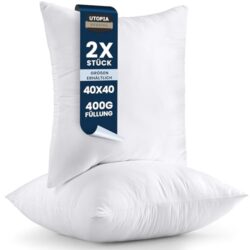 41ZIaW5DuL._SL500_