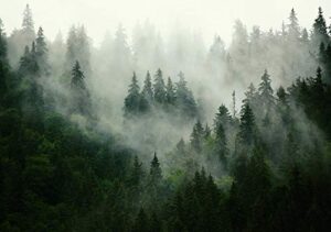 41lnDYFHML._SL500_