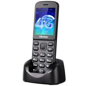 41AC5vnocPL._SL500_