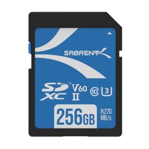 41KIZxG3xiL._SL500_