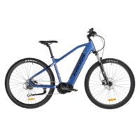 Ein modernes akku-fahrrad auf einem Weg in der Natur.