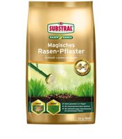 Rasensamen und Streuwagen für den perfekten Rasen