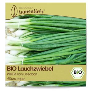 51A1UbBNbtL._SL500_