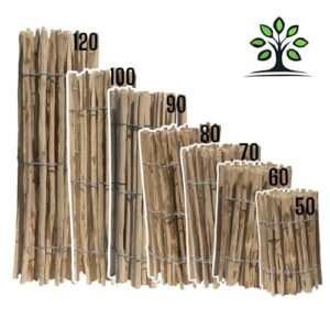 51BUPMlzT6L._SL500_