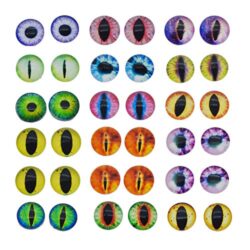 51EMbRwrDIL._SL500_