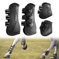 Reitsport