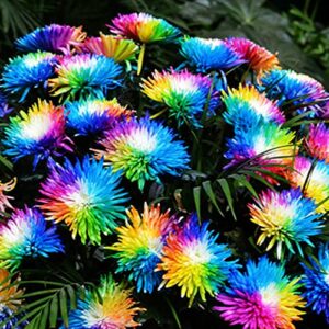 61dVUhpp5L._SL500_