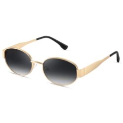 31IMSutWiNL._SL500_