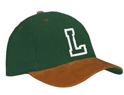 31M6zvvq7KL._SL500_