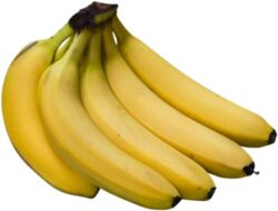 41AQmqMeJbL._SL500_