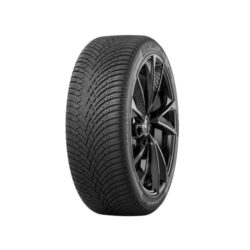41S8fnNEEbL._SL500_