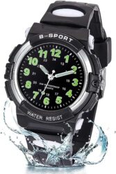 51BiItPT12L._SL500_